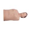KAR/CPR190 半身心肺复苏训练模拟人（简易型）